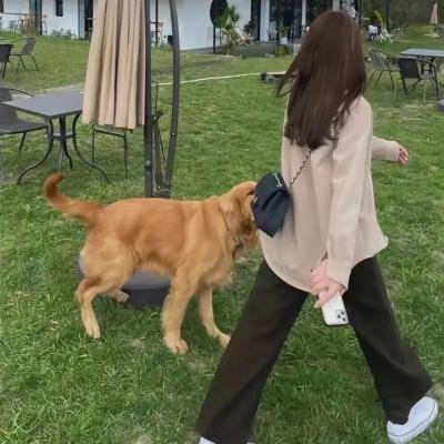 谁来陪伴我